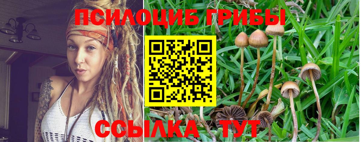 Южноуральск  Псилоцибиновые грибы ЛСД  Псилоцибиновые грибы MAGIC MUSHROOMS  магазин продажи наркотиков  Вход с VPN 