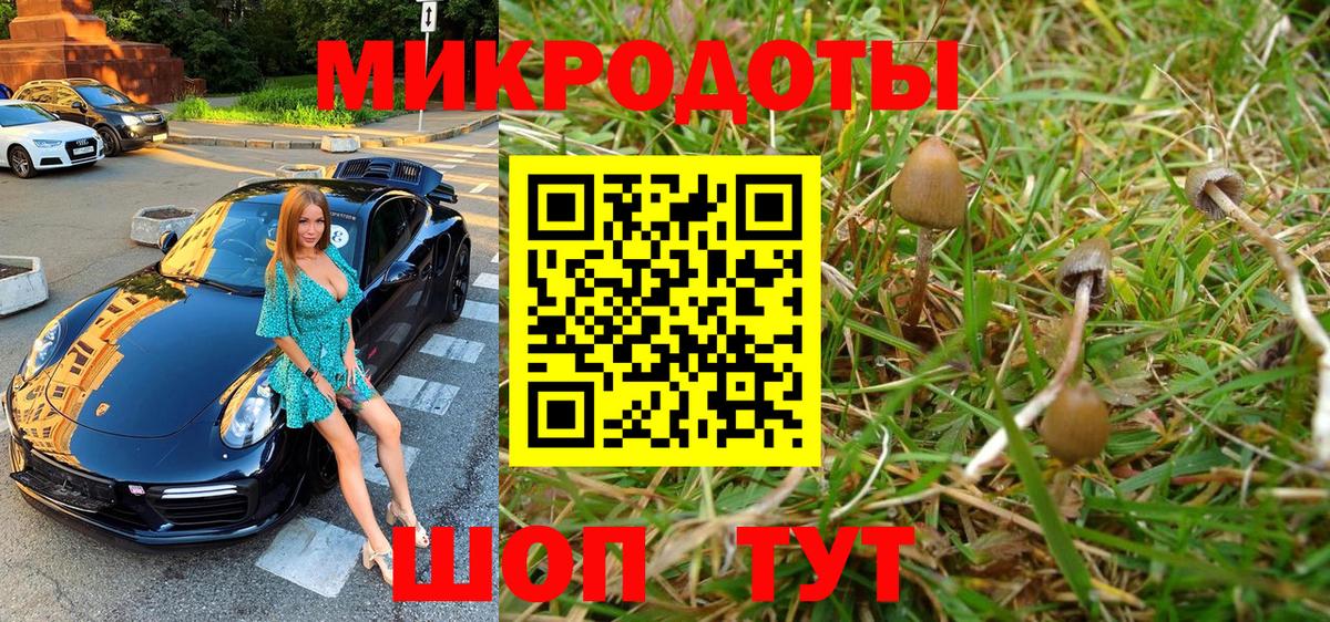 Псилоцибиновые грибы Cubensis Южноуральск